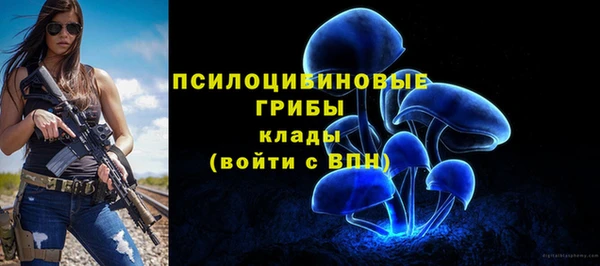 марки lsd Абаза